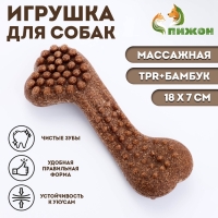 Игрушка для собак "Колючая кость", TPR+Бамбук, массажная,18 х 7 Игрушка для собак "Колючая кость", TPR+Бамбук, массажная,18 х 7