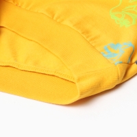 Свитшот для мальчика, цвет тёмно-жёлтый/дино, рост 110 см Свитшот для мальчика, цвет тёмно-жёлтый/дино, рост 110 см