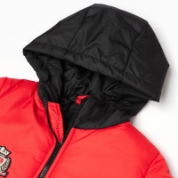 Куртка демисезонная детская, цвет красный, рост 98-104 см