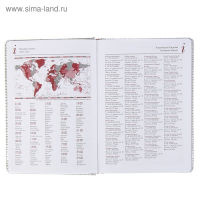 Ежедневник недатированный А5+, 136 листов Sidney Nebraska, обложка искусственная кожа, серебряный срез, ляссе, серебряный