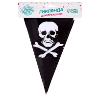 Гирлянда &laquo;Пират&raquo;, 2,5 м