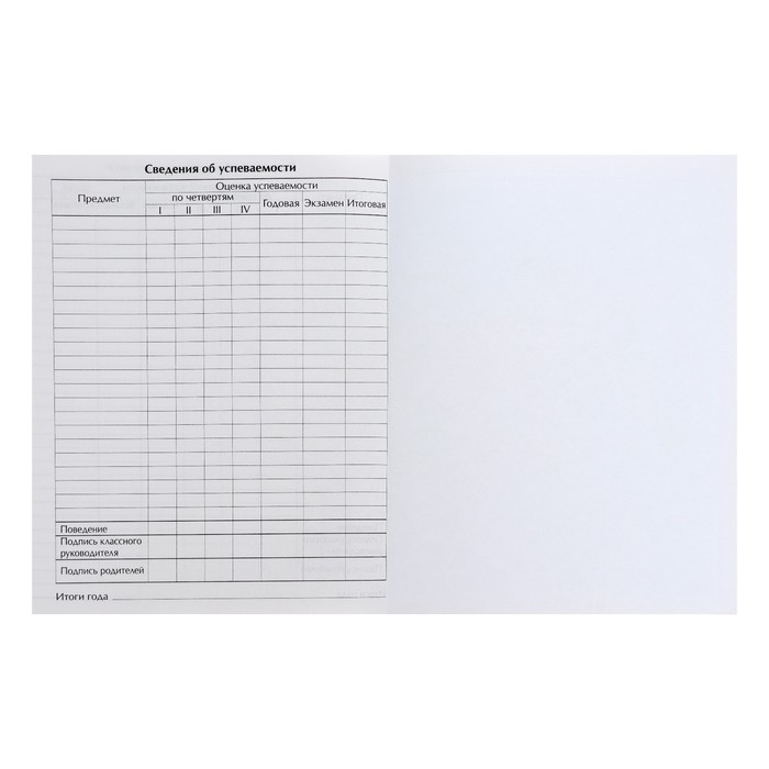 Дневник для 5-11 классов, "Футбольный мяч", твердая обложка 7БЦ, глянцевая ламинация, 48 листов