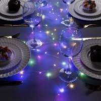 Гирлянда «Мишура» 2 м роса, IP20, серебристая нить, 50 LED, батарейки CR2032х2 (в комплекте), свечение мульти Гирлянда «Мишура» 2 м роса, IP20, серебристая нить, 50 LED, батарейки CR2032х2 (в комплекте), свечение мульти