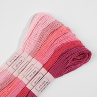Набор ниток мулине, 8 &plusmn; 1 м, 7 шт, цвет розовый спектр