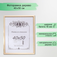 Фоторамка некрашеная 2/3 40х50 см