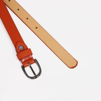 Ремень женский, ширина 1.8 см, винт, пряжка металл, цвет рыжий