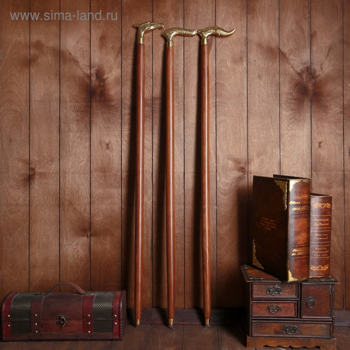 Трость "Решение"МИКС 92х11х2,5 см