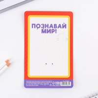 Подарочный набор на выпускной брелок и ручка-флажок &laquo;Выпускнику&raquo;