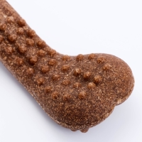 Игрушка для собак "Колючая кость", TPR+Бамбук, массажная,18 х 7 Игрушка для собак "Колючая кость", TPR+Бамбук, массажная,18 х 7