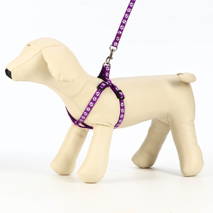 Комплект прошитый "Лапки", поводок 120 х 1 см, ОГ 23-35 см, фиолетовый