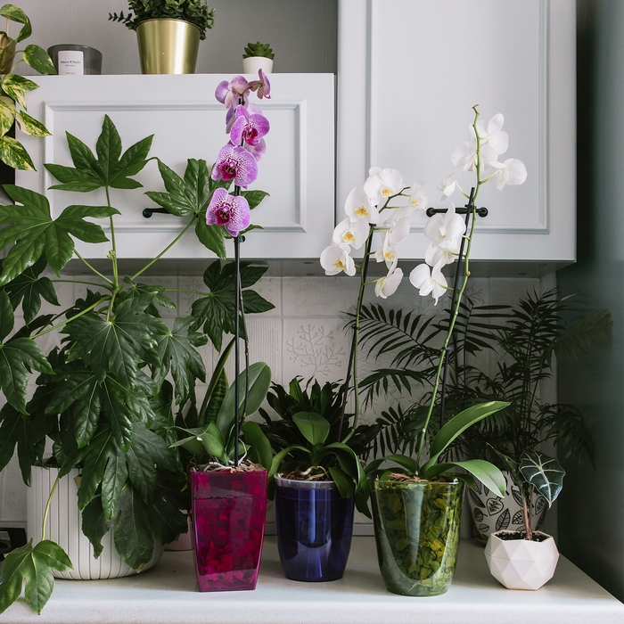 Горшок для орхидей, 2,5 л, 16,4 &times; 18,5 см, пластик, прозрачно-зелёный