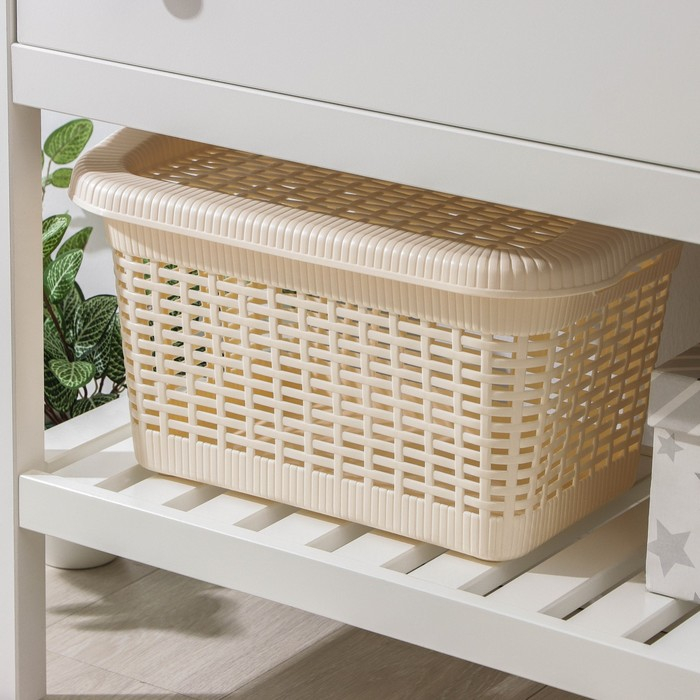 Корзина для хранения с крышкой, 45&times;28&times;24 см, 20 л, цвет МИКС