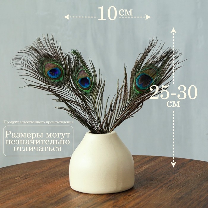 Перо павлина для декора, набор 3 шт., размер 1 шт. &mdash; от 25 до 30 см