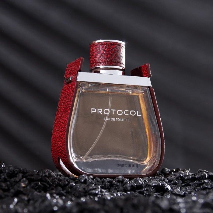 Туалетная вода мужская PROTOCOL, 100 мл Туалетная вода мужская PROTOCOL, 100 мл