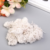 Мох искусственный "Белый" 10 гр Мох искусственный "Белый" 10 гр