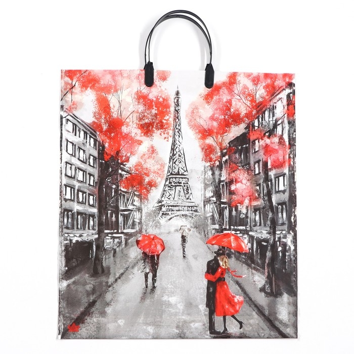 Пакет Пакет "Париж", полиэтиленовый с пластиковой ручкой, 100 мкм 44 х 40 см