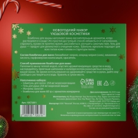 Новогодний подарочный набор косметики &laquo;Зимняя сказка&raquo;, с ароматом розы и корицы. Зеленая серия