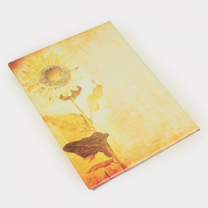 Папка для документов, 1 комплект, цвет оранжевый Папка для документов, 1 комплект, цвет оранжевый