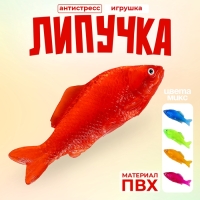 Липучка &laquo;Рыбка&raquo;, цвета МИКС