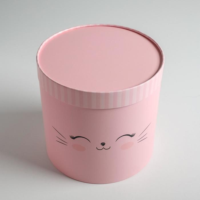 Набор коробок из тонкого картона 4 в 1, упаковка подарочная, &laquo;Мордочки&raquo;, 12 х 12 - 20 х 20 см