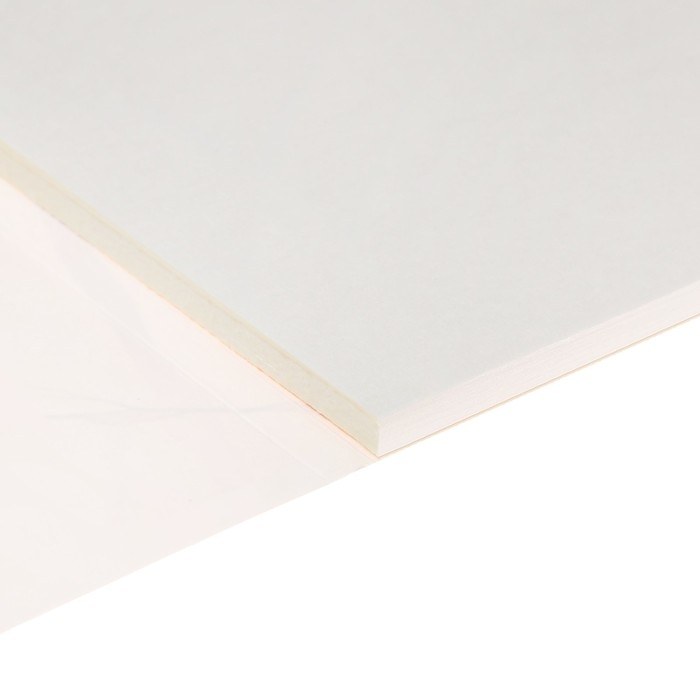 Альбом для рисования А4, 40 листов на склейке "Девушка в лесу", обложка мелованный картон, блок 100г/м2