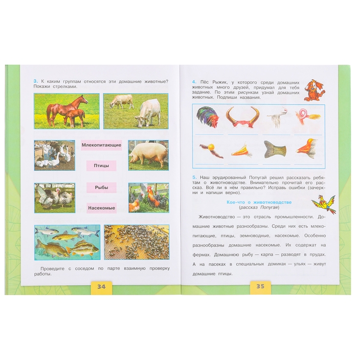 3 класс. Окружающий мир. Часть 2. ФГОС. Плешаков А.А. 2024 г. 3 класс. Окружающий мир. Часть 2. ФГОС. Плешаков А.А. 2024 г.