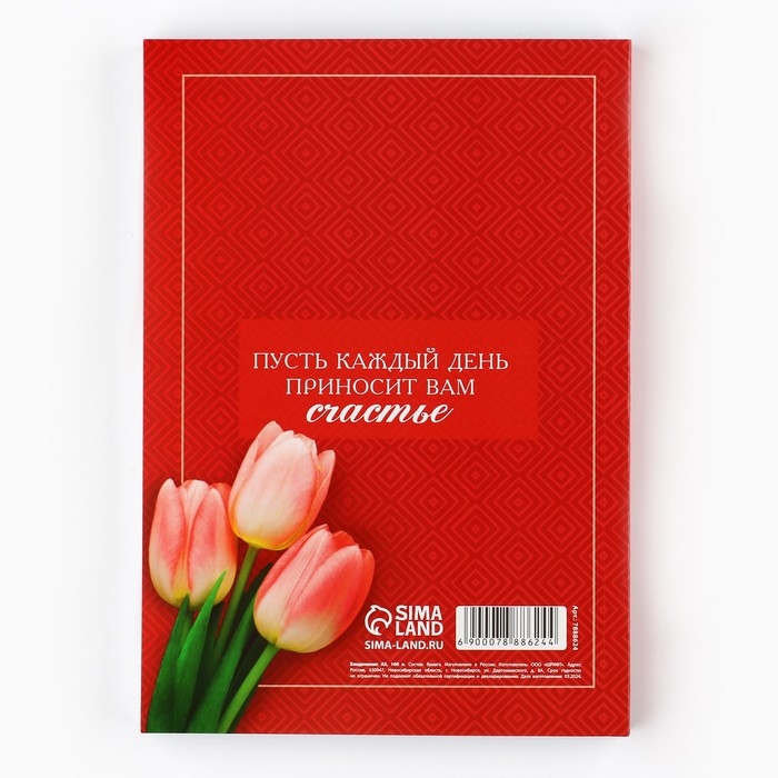 Ежедневник &laquo;Учителю с благодарностью&raquo; , формат А5, 160 листов, мягкая обложка