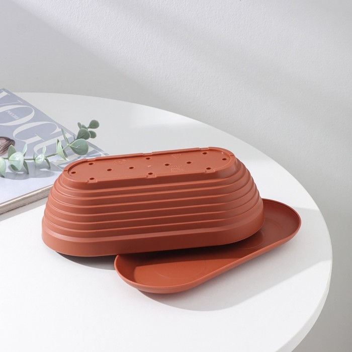 Горшок для кактуса с поддоном &laquo;Алиса&raquo;, 0,9 л, h=7 см, цвет терракот