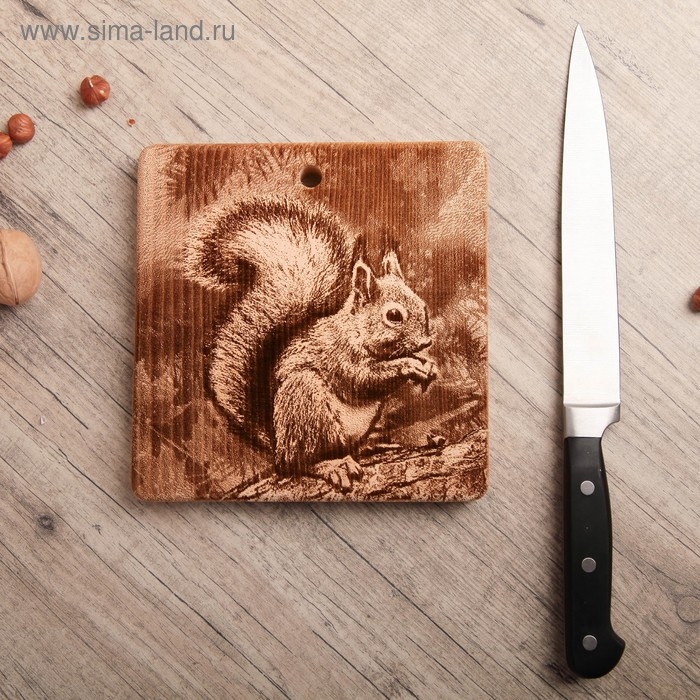 Доска из массива кедра &laquo;Бельчонок&raquo;, квадратная, 18 &times; 18 см
