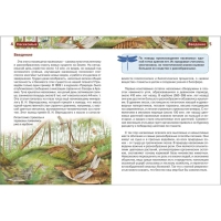 Детская энциклопедия &laquo;Насекомые&raquo;