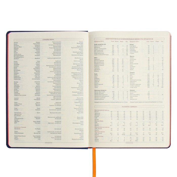 Ежедневник недатированный В5, 136 листов Leggenda, твёрдая обложка, искусственная кожа, синий