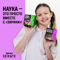 Набор для опытов &laquo;Горящее железо&raquo;