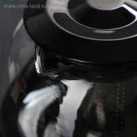 Чайник заварочный «Бетти», 800 мл, с ситечком, цвет черный Чайник заварочный «Бетти», 800 мл, с ситечком, цвет черный