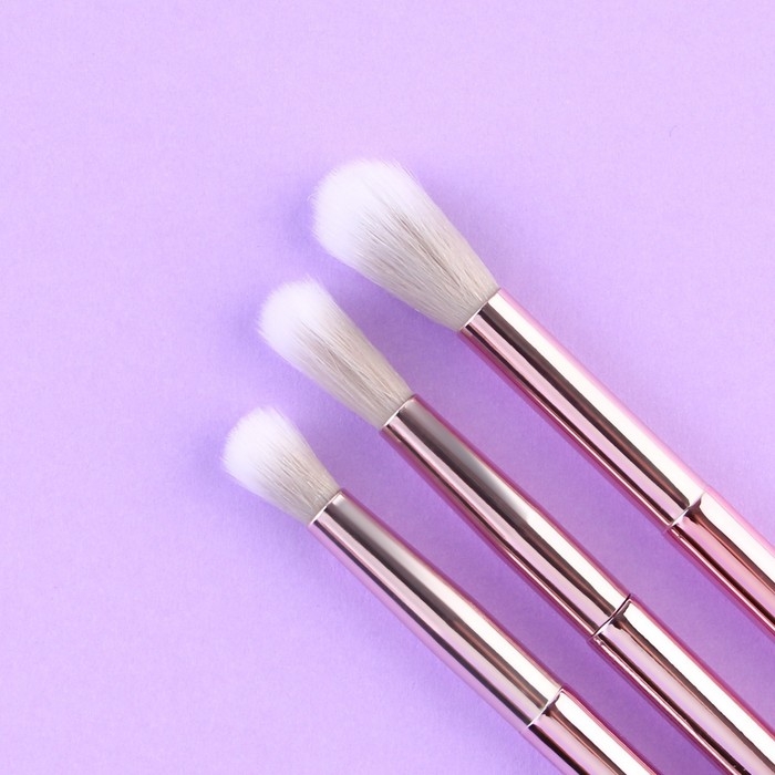 Набор кистей для макияжа «Нежность», 5 шт, 19 × 8 см, BEAUTY FOX Набор кистей для макияжа «Нежность», 5 шт, 19 × 8 см, BEAUTY FOX