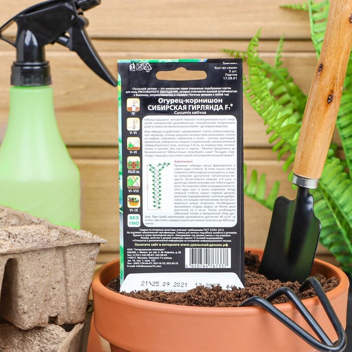 Семена Огурец Семена Огурец "Сибирская Гирлянда" F1 скороспелый, партенокарпический, 5 шт