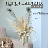 Перо павлина для декора 1 шт., размер — от 70 до 80 см Перо павлина для декора 1 шт., размер — от 70 до 80 см
