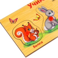 Рамка - вкладыш «Учим лесных животных», 5 элементов Рамка - вкладыш «Учим лесных животных», 5 элементов