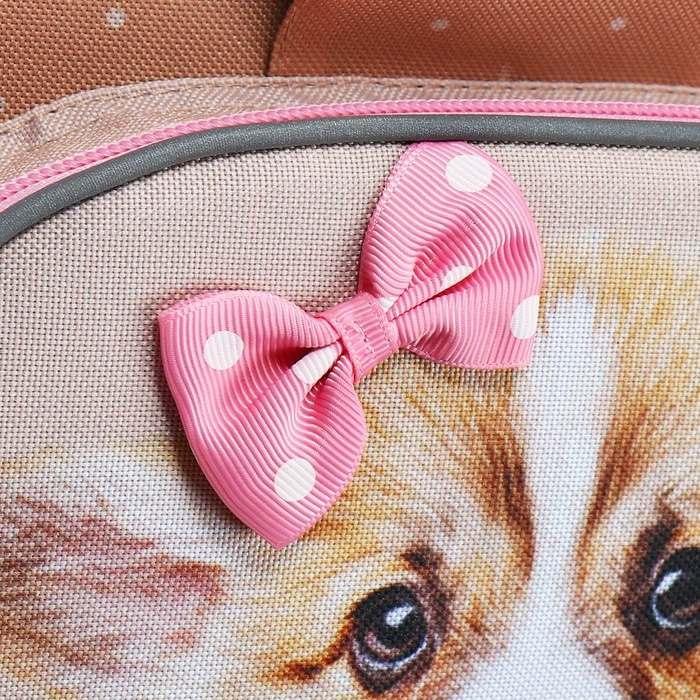 Ранец школьный на замке, 37 х 25 х 14 см, Erich Krause ErgoLine 15L, Corgi Puppy 60084 Ранец школьный на замке, 37 х 25 х 14 см, Erich Krause ErgoLine 15L, Corgi Puppy 60084