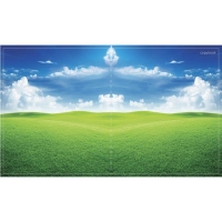 Тетрадь 96 листов в клетку Calligrata "Прекрасная пора", обложка мелованный картон, блок офсет, МИКС Тетрадь 96 листов в клетку Calligrata "Прекрасная пора", обложка мелованный картон, блок офсет, МИКС