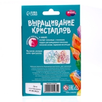 Выращивание кристаллов &laquo;Опыты. Лучистый кристалл&raquo;, цвет малиновый