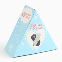 Маршмеллоу в виде колпочка «С тобой в домике», со вкусом малины, 38 г Маршмеллоу в виде колпочка «С тобой в домике», со вкусом малины, 38 г