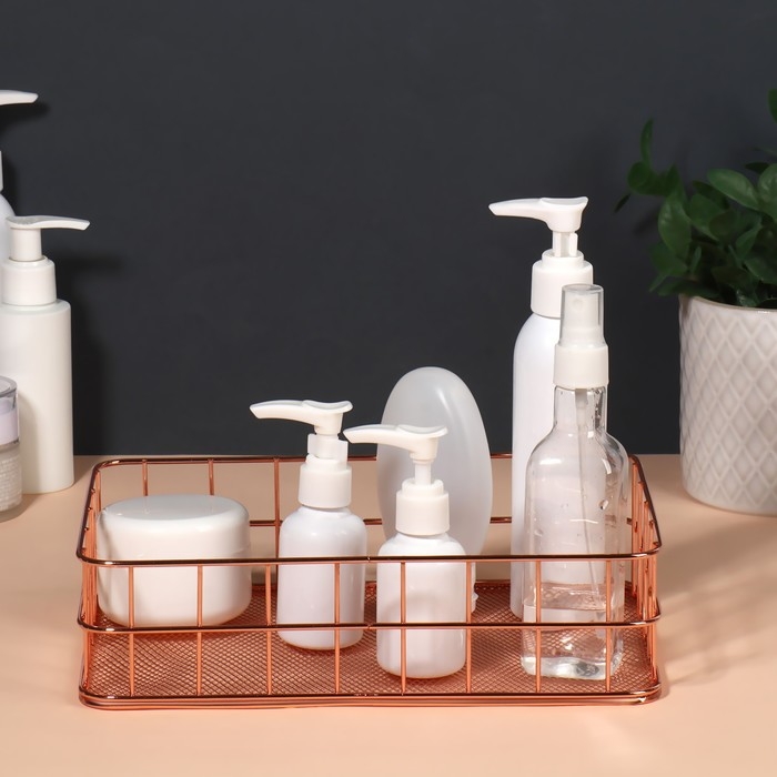 Органайзер для хранения косметических принадлежностей &laquo;РАФАЭЛЬ&raquo;, 24,5 &times; 16,5 &times; 6,5 см, цвет бронзовый