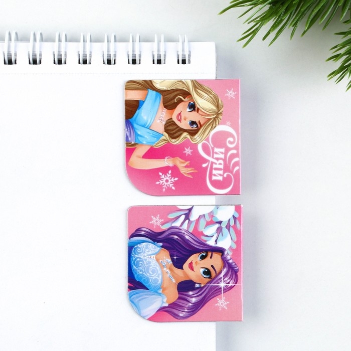 Подарочный набор новогодний, блокнот,наклейки 2 л и магнитные закладки 2 шт &laquo;Волшебный набор&raquo;