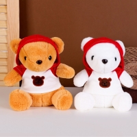 Мягкая игрушка &laquo;Мишка&raquo; в кофте, 23 см, цвет МИКС