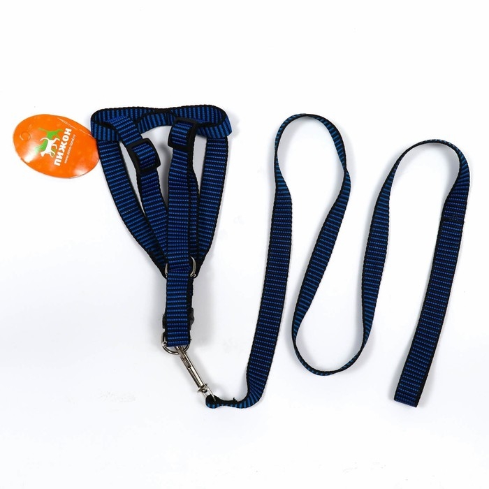 Комплект амуниции рельефный, поводок 120 х 2 см, ОГ 44-50 см, сине-чёрный Комплект амуниции рельефный, поводок 120 х 2 см, ОГ 44-50 см, сине-чёрный