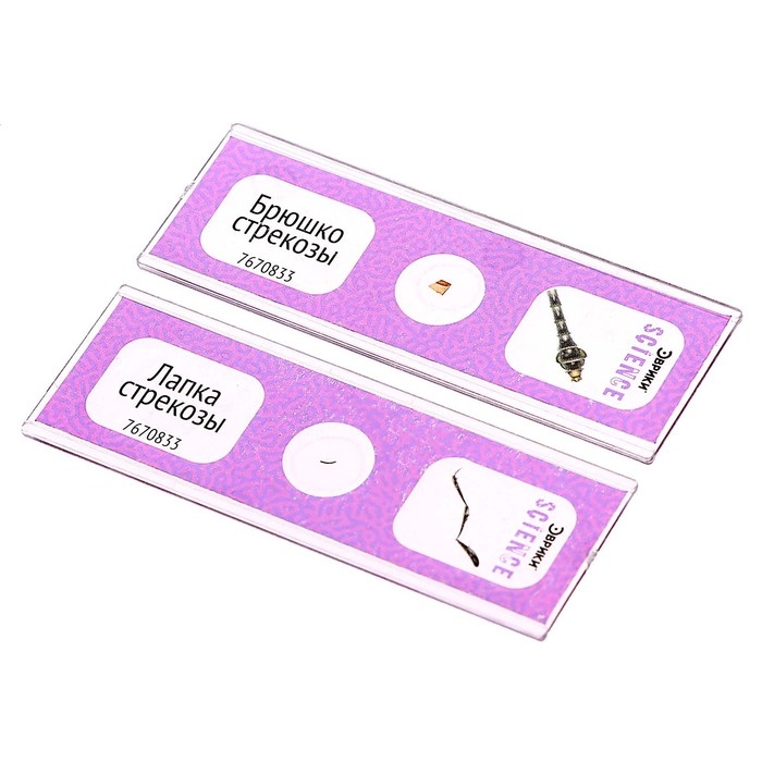 Набор для опытов «Набор микропрепаратов», насекомые Набор для опытов «Набор микропрепаратов», насекомые