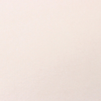 Плед Этель цв.молочный 200*220 см,100% п/э, корал-флис 220 гр/м2