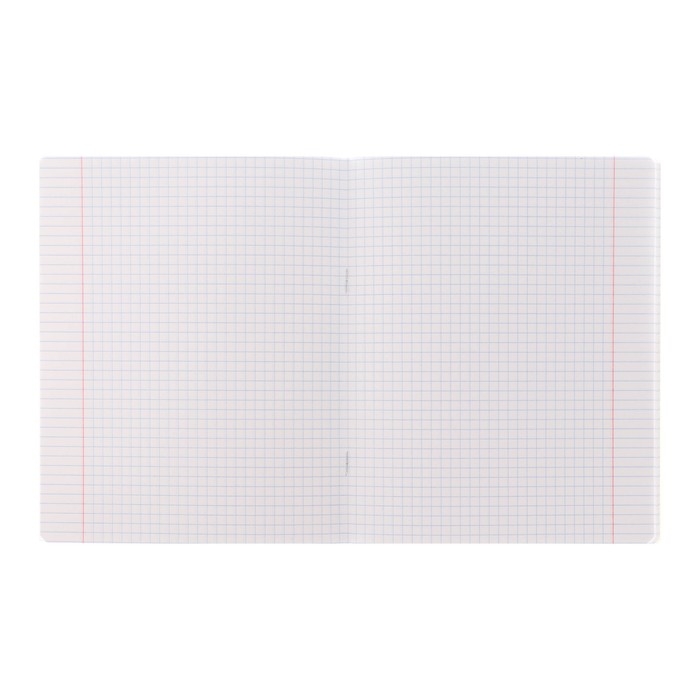 Тетрадь 48 листов в клетку Тетрадь 48 листов в клетку "Гусь-веселюсь №1", обложка мелованный картон, скругленные углы, 5В, МИКС