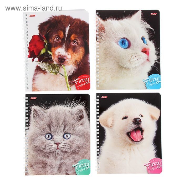 Тетрадь 80 листов, в клетку, на гребне, Тетрадь 80 листов, в клетку, на гребне, "Пушистые мордочки", картонная обложка, 4 вида МИКС