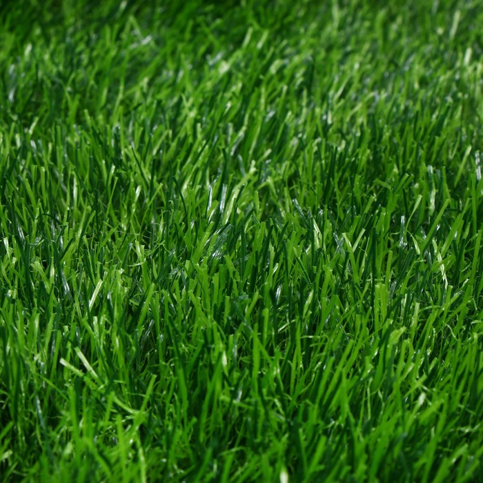 Газон искусственный, для спорта, ворс 50 мм, 2 × 5 м, зелёный, Greengo Газон искусственный, для спорта, ворс 50 мм, 2 × 5 м, зелёный, Greengo